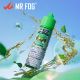 [Apple Steezy] MR FOG Watermelon E-Liquid 60ml