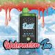 DZC09 - DOOZY ICE CUBE Watermelon Ice