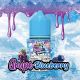 DZEI05 - DOOZY ICE CUBE Grape Blueberry E-LIQUID 30ML