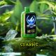 NV31-MR FOG NOVA MINT STEEZY CLASSIC